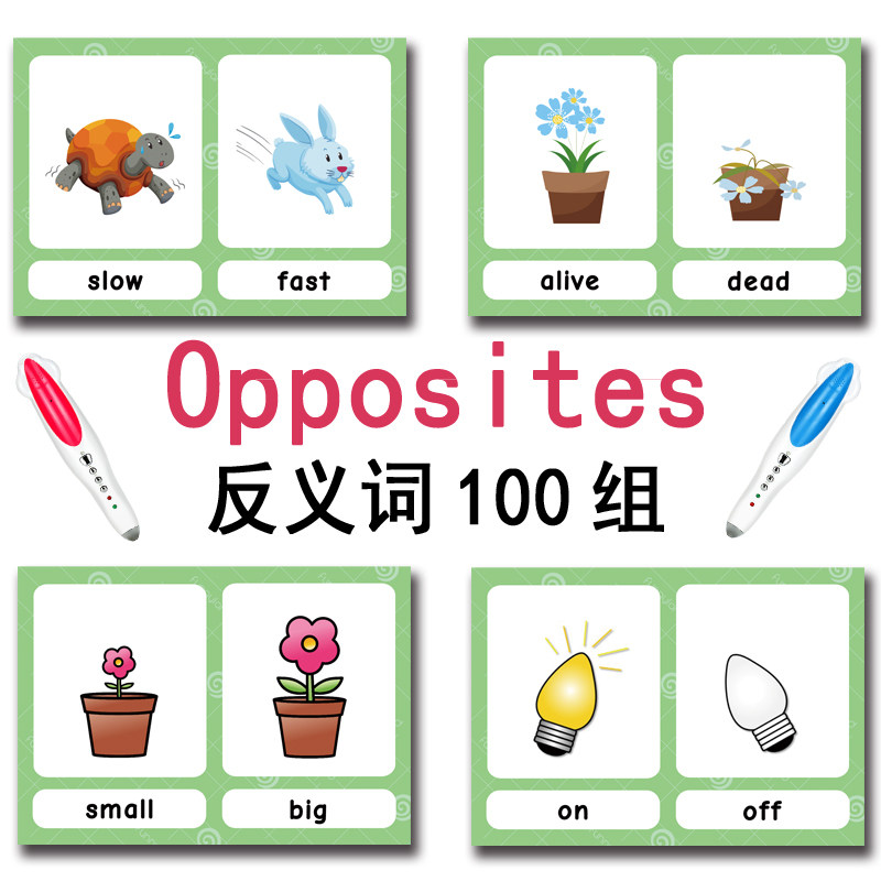 100 Cartões de Vocabulário em  - Educational Flash Card avaliação e preço