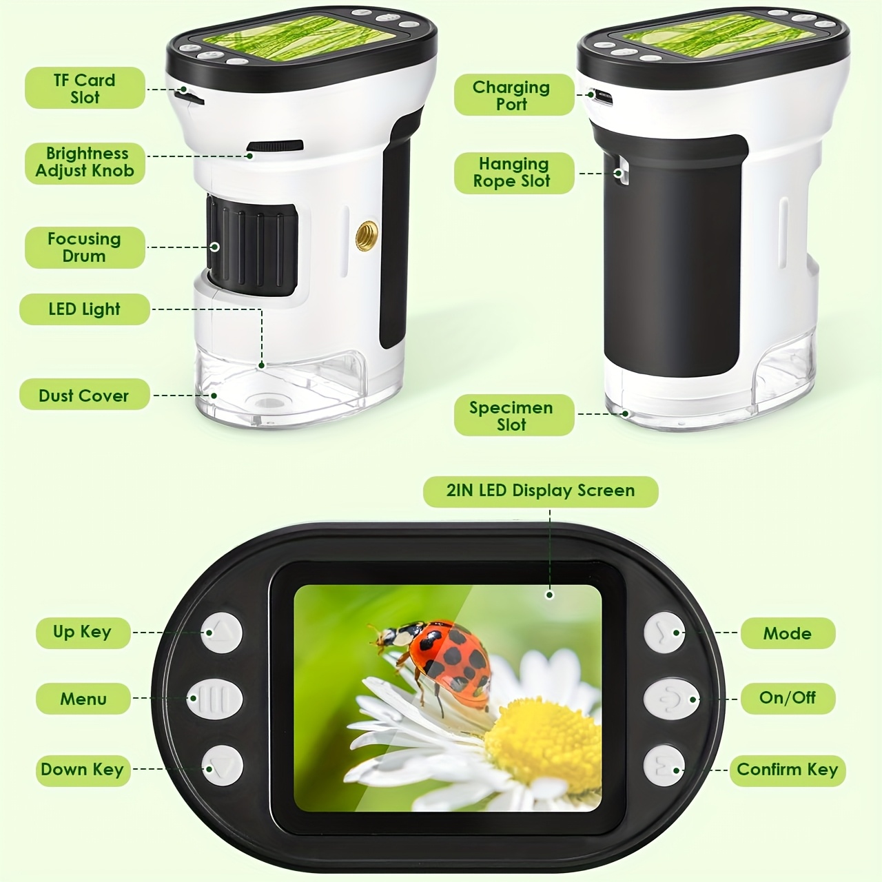 Kit de Microscópio Biológico p - Kids Toys Under 200 avaliação e preço